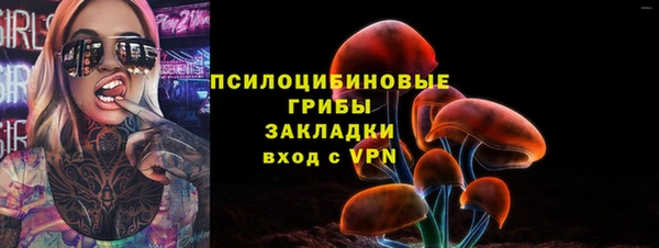 ПСИЛОЦИБИНОВЫЕ ГРИБЫ Надым