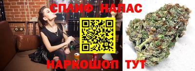 jwh Заводоуковск
