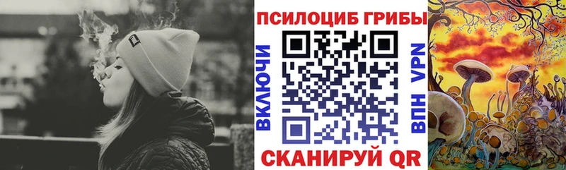 где купить наркотик  Лабытнанги  Галлюциногенные грибы Psilocybe 